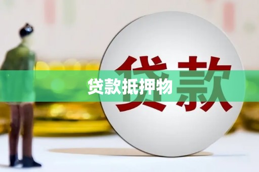 君山贷款抵押物