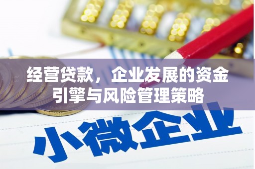 君山经营贷款，企业发展的资金引擎与风险管理策略
