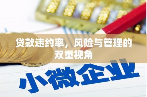 君山贷款违约率，风险与管理的双重视角