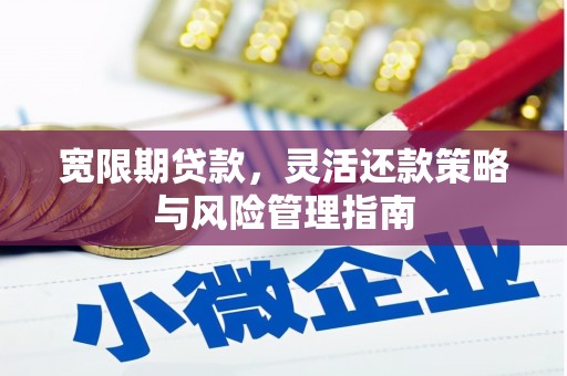 君山宽限期贷款，灵活还款策略与风险管理指南