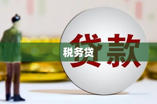 君山税务贷