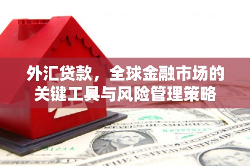 君山外汇贷款，全球金融市场的关键工具与风险管理策略
