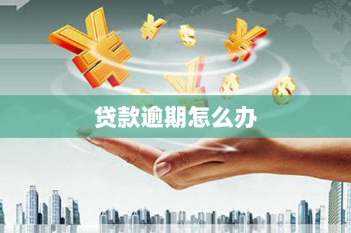 君山贷款逾期怎么办