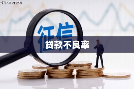 君山贷款不良率