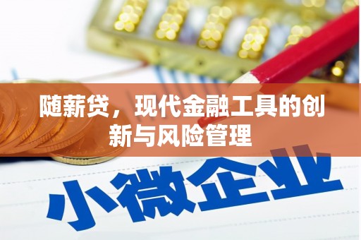 君山随薪贷，现代金融工具的创新与风险管理