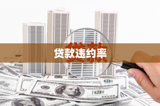 君山贷款违约率