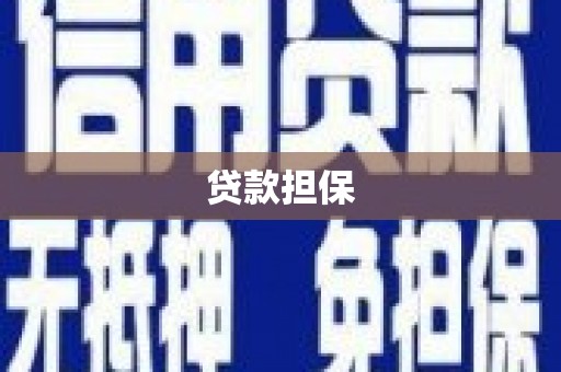 君山贷款担保