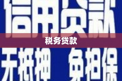 君山税务贷款