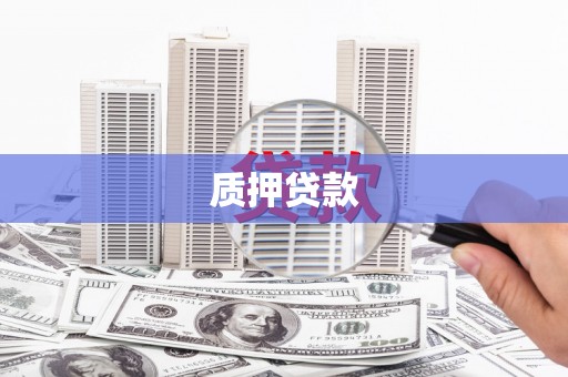 君山质押贷款