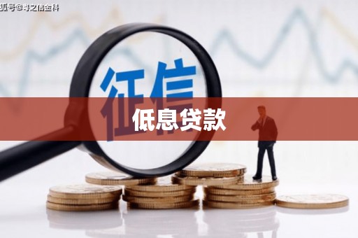 君山低息贷款