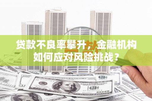 君山贷款不良率攀升，金融机构如何应对风险挑战？