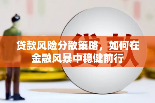 君山贷款风险分散策略，如何在金融风暴中稳健前行