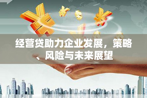 君山经营贷助力企业发展，策略、风险与未来展望