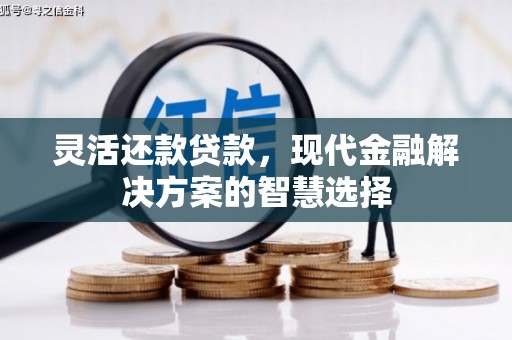君山灵活还款贷款，现代金融解决方案的智慧选择