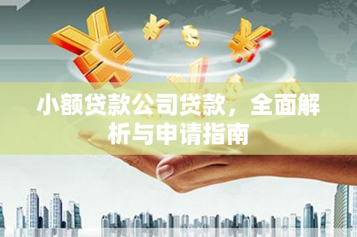 君山小额贷款公司贷款，全面解析与申请指南