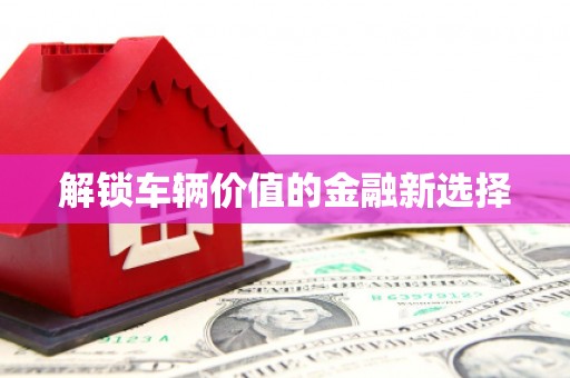 君山解锁车辆价值的金融新选择