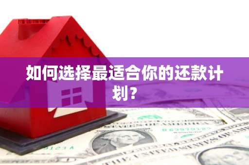 君山如何选择最适合你的还款计划？