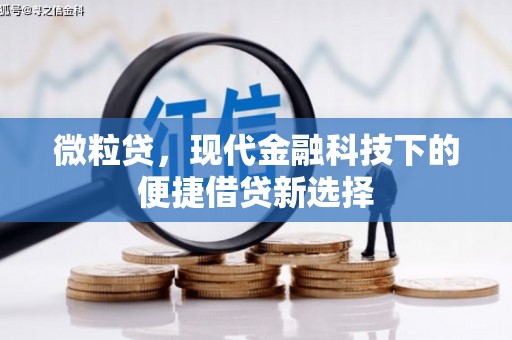 君山微粒贷，现代金融科技下的便捷借贷新选择