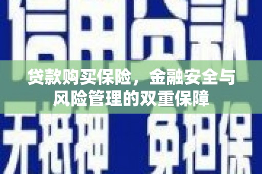 君山贷款购买保险，金融安全与风险管理的双重保障