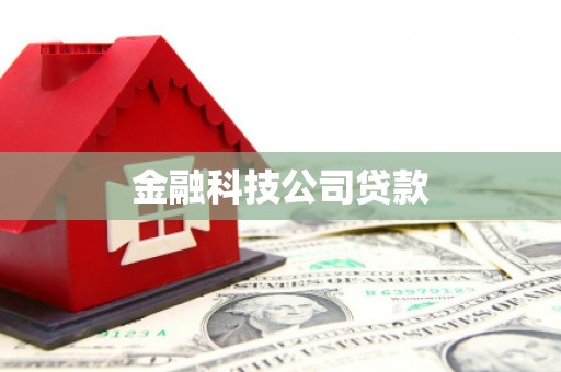君山金融科技公司贷款