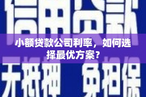 君山小额贷款公司利率，如何选择最优方案？