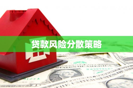 君山贷款风险分散策略