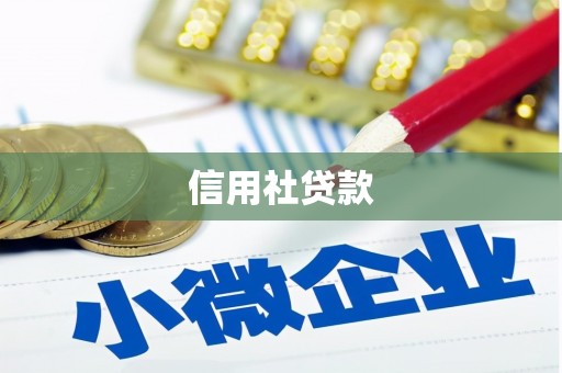 君山信用社贷款