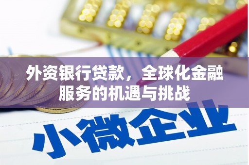 君山外资银行贷款，全球化金融服务的机遇与挑战