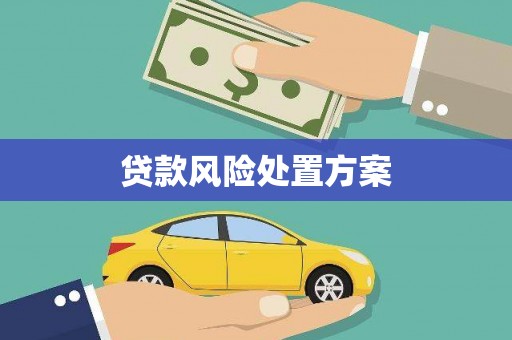 君山贷款风险处置方案