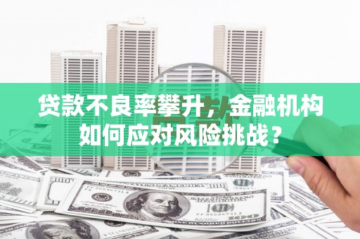 君山贷款不良率攀升，金融机构如何应对风险挑战？