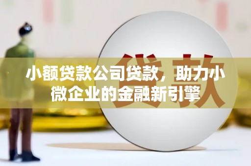 君山小额贷款公司贷款，助力小微企业的金融新引擎