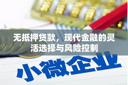 君山无抵押贷款，现代金融的灵活选择与风险控制