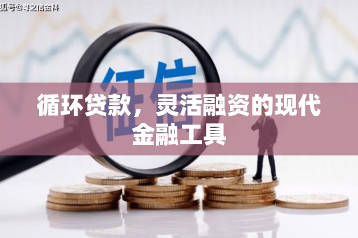 君山循环贷款，灵活融资的现代金融工具