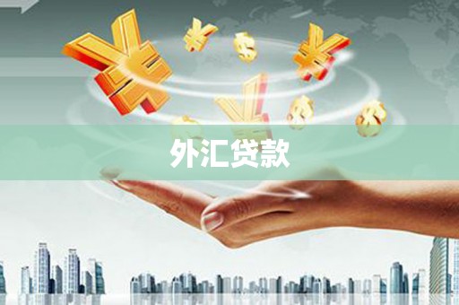 君山外汇贷款