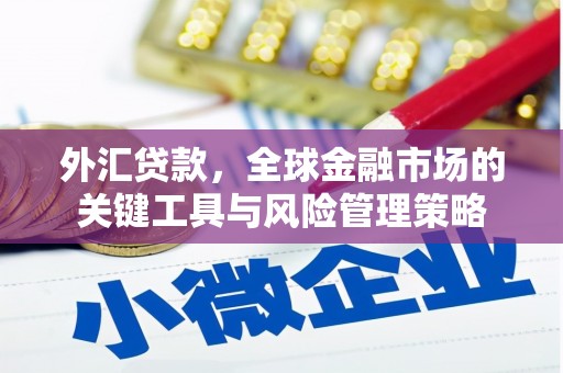 君山外汇贷款，全球金融市场的关键工具与风险管理策略
