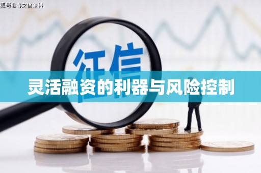 君山灵活融资的利器与风险控制