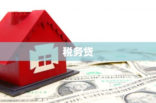 君山税务贷