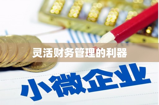 君山灵活财务管理的利器