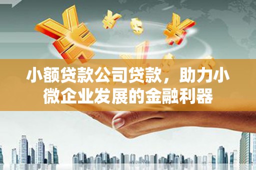 君山小额贷款公司贷款，助力小微企业发展的金融利器