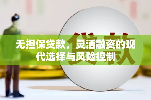 君山无担保贷款，灵活融资的现代选择与风险控制