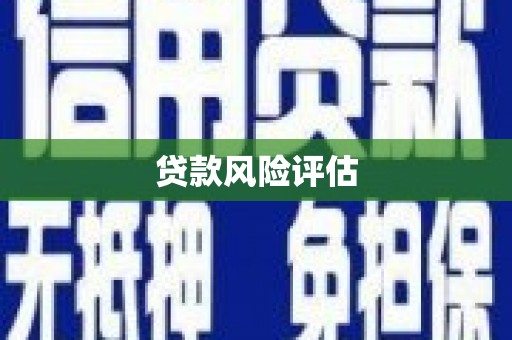 君山贷款风险评估