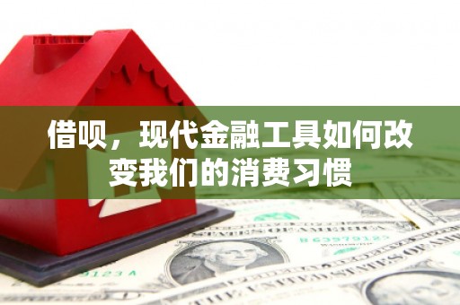 君山借呗，现代金融工具如何改变我们的消费习惯