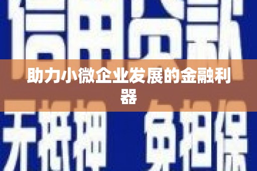 君山助力小微企业发展的金融利器