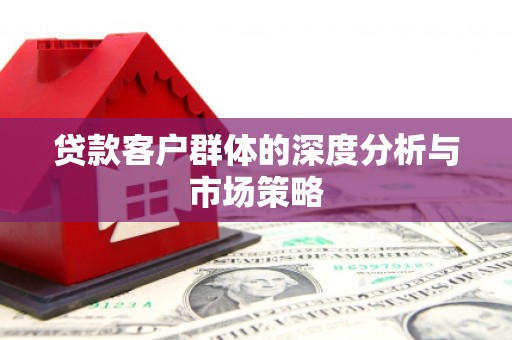 君山贷款客户群体的深度分析与市场策略