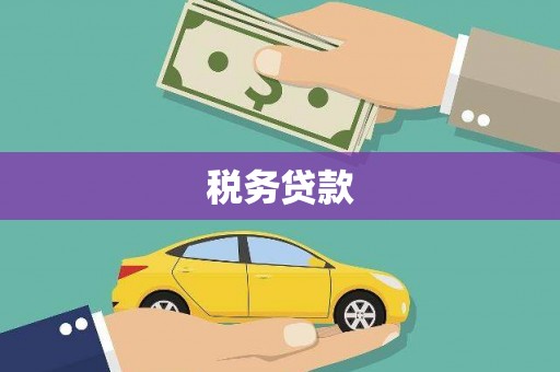 君山税务贷款