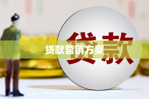 君山贷款营销方案