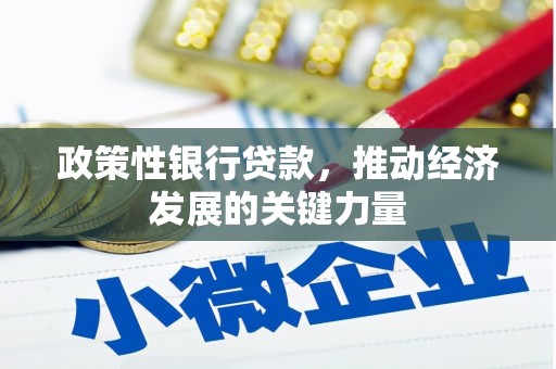 君山政策性银行贷款，推动经济发展的关键力量
