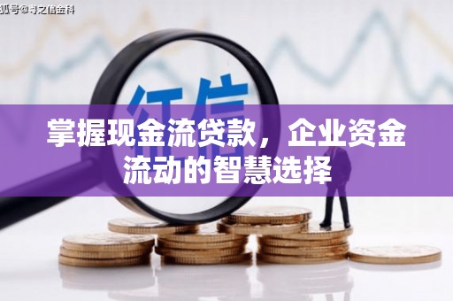 君山掌握现金流贷款，企业资金流动的智慧选择