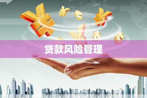 君山贷款风险管理