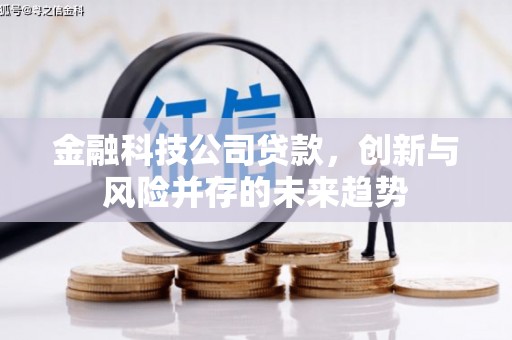 君山金融科技公司贷款，创新与风险并存的未来趋势